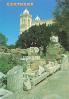 TUNISIE - Carthage - Colline De Byrsa - Carte Postale - Tunisia