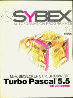 Turba Pascal 5.5 (1990) De M.A Beisecker - Informática