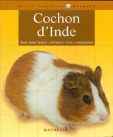 Cochon D'Inde (2001) De Katrin Behrend - Animales