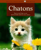 Chatons (2001) De Ute Lehmann - Animales