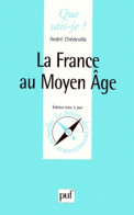 La France Au Moyen Âge (2000) De Que Sais-Je? - Diccionarios