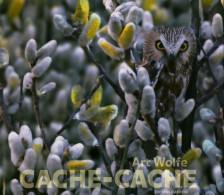 Cache-cache (2005) De Art Wolfe - Animali