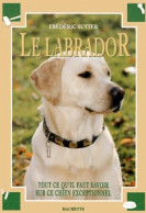 Le Labrador (1994) De Frédéric Sutter - Animales