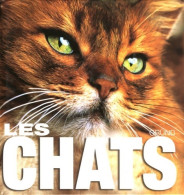 Les Chats (2007) De Caterina Gromis Di Trana - Animali