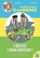 À Quoi Sert L'union Européenne ? (2010) De Jean Schalit - Other & Unclassified