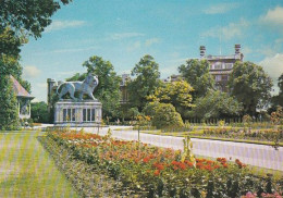 Forebury Gardens, Reading -  Berkshire - Unused Postcard, Ber1 - Windsor