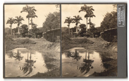 Stereo-Fotografie E. Gränzdörfer, Eisenach, Ansicht Caracas / Venezuela, Meierei Am Stadtrand  - Stereo-Photographie