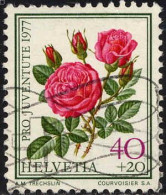 Suisse Poste Obl Yv:1043 Mi 1113 Pro Juventute Rose à Parfum De L'Hay (Belle Obl.mécanique) - Used Stamps
