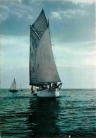 Bateaux - Voiliers - Bretagne - CPM - Voir Scans Recto-Verso - Sailing Vessels