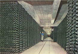 Vignes - Cavas Codorniu - Bouteilles En Cours De Vieillissement - CPM - Carte Neuve - Voir Scans Recto-Verso - Viñedos