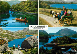 Irlande - Kerry - Killarney - Multivues - Attelage De Chevaux - CPM - Voir Scans Recto-Verso - Kerry