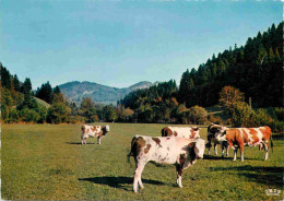 Animaux - Vaches - Paturage En Montagne - Carte Dentelée - CPSM Grand Format - Carte Neuve - Voir Scans Recto-Verso - Kühe