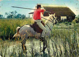 Animaux - Chevaux - Camargue - Le Gardian - Etat Pli Visible - CPM - Voir Scans Recto-Verso - Pferde