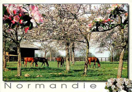 Animaux - Chevaux - Paysage De Normandie - Pommiers En Fleurs - CPM - Voir Scans Recto-Verso - Pferde