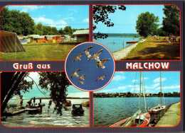 H1246 - TOP Malchow - Bild Und Heimat Reichenbach Qualitätskarte - Waren (Müritz)