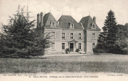 FRANCE - Vasles - Château De La Gobinière Sud - Carte Postale Ancienne - Other & Unclassified