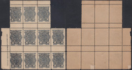 Argentine 1887 - Timbres Télégraphe Spéciaux Chemin De Fer. Yv. Nr.: 13. Bloc De 11. REIMPRESSIONS... (EB) AR-02447 - Telegraafzegels