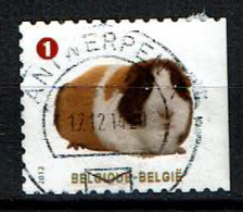 België Belgique Belgium Belgien    Cavia Uit 2012 (OBP 4231 ) - Usati