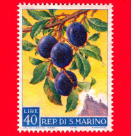 Nuovo - MNH - SAN MARINO - 1958 - Prodotti Agricoli - Prugne - 40 - Unused Stamps