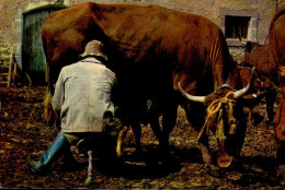 LA TRAITE _ LA RENTREE DES FOINS ( 2 CARTES ) - Landbouwers