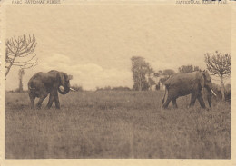 Éléphants Plaine Du Lac Edward. - Belgisch-Congo