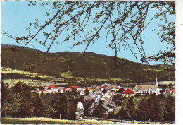 74 BOEGE - HAUTE SAVOIE Vue Générale - Boëge