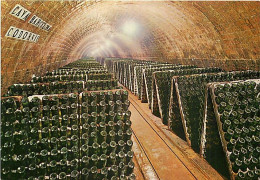 Vignes - Cavas Codorniu - Bouteilles Sur Pupitres - CPM - Carte Neuve - Voir Scans Recto-Verso - Viñedos