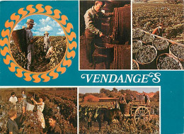 Vignes - Vendanges - Multivues - CPM - Carte Neuve - Voir Scans Recto-Verso - Wijnbouw