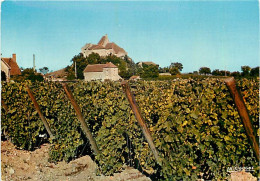 Vignes - Saint Pourcain Sur Sioule - Ses Vignobles Et Château De Louchy - CPM - Carte Neuve - Voir Scans Recto-Verso - Weinberge