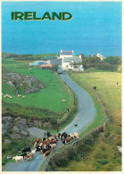 Irlande - Cows - Vaches - 88 - Ireland People And Places Card - CPM - Voir Scans Recto-Verso - Other & Unclassified