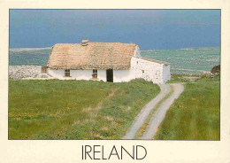 Irlande - Clare - Cottage - CPM - Voir Scans Recto-Verso - Clare