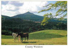 Irlande - Wicklow - County Wicklow - CPM - Voir Scans Recto-Verso - Wicklow