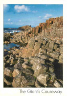 Irlande Du Nord - Antrim - Giants Causeway - CPM - Carte Neuve - Voir Scans Recto-Verso - Antrim