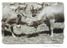 Animaux - Vaches - Image De Montagne - Cloche - Tendresse - CPM - Carte Neuve - Voir Scans Recto-Verso - Kühe