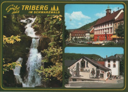 119500 - Triberg - 3 Bilder - Triberg