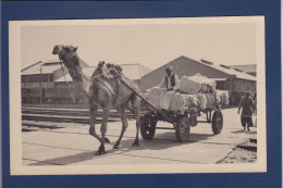 CPA Pakistan Chameau Camel Non Circulée - Pakistán