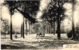 GENK /  LANDSCHAP - Genk