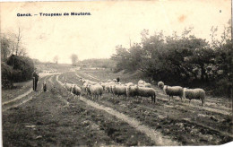 GENK /  LANDSCHAP - Genk