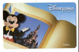 FRANCE PASSEPORT DISNEYLAND PARIS - Disney