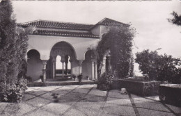 QT - MALAGA - Alcazaba  (neuf) - Málaga