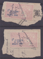 Fiscaux 2 Timbres Taxe Sur Les Paiements  1F Rose 1919 - Stamps