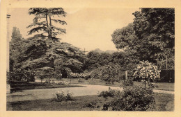 FRANCE - Château De Malmaison - Roseraie Et Cèdre De Marengo - Carte Postale Ancienne - Rueil Malmaison