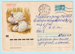 USSR 1971.0129. Mute Swan (Cygnus Olor). Prestamped Cover, Used - 1970-79