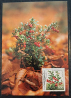 Germany BRD - 1991 - Maximum Card -  Preiselbeere - Rennsteiggarten Oberhof - 1981-2000