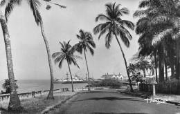 Guinée Conakry * La Corniche Et Le Port - Guinée
