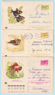 USSR 1971.0623-0902. Aquarium Fishes. Prestamped Covers (3), Used - 1970-79