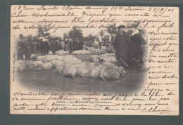 CP - 74 - Marché Aux Cochons - Bauern