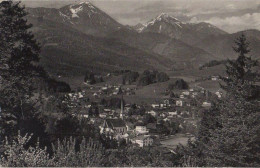 31017 - Siegsdorf - Blick Zum Hochfelln - 1964 - Traunstein