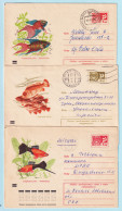 USSR 1971.0902-0922. Aquarium Fishes. Prestamped Covers (3), Used - 1970-79