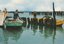 VENDEE . - PARCS A MOULES - Pesca